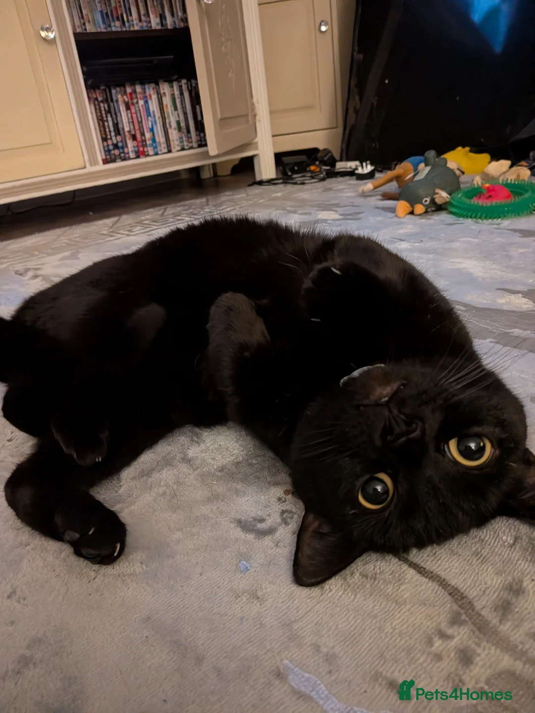 Gallery Image {{count}}