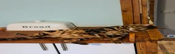 Bengal cats for sale: Wee Bob - Advert 2