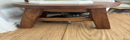 Mixed Breed cats for sale: Half ragdoll kittens for sale in Wokingham - Advert 9