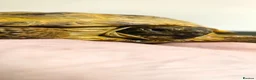 Tortoise reptiles for sale: Horsfield tortoise and full set up - Advert 4