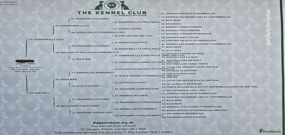 Gallery Image {{count}}