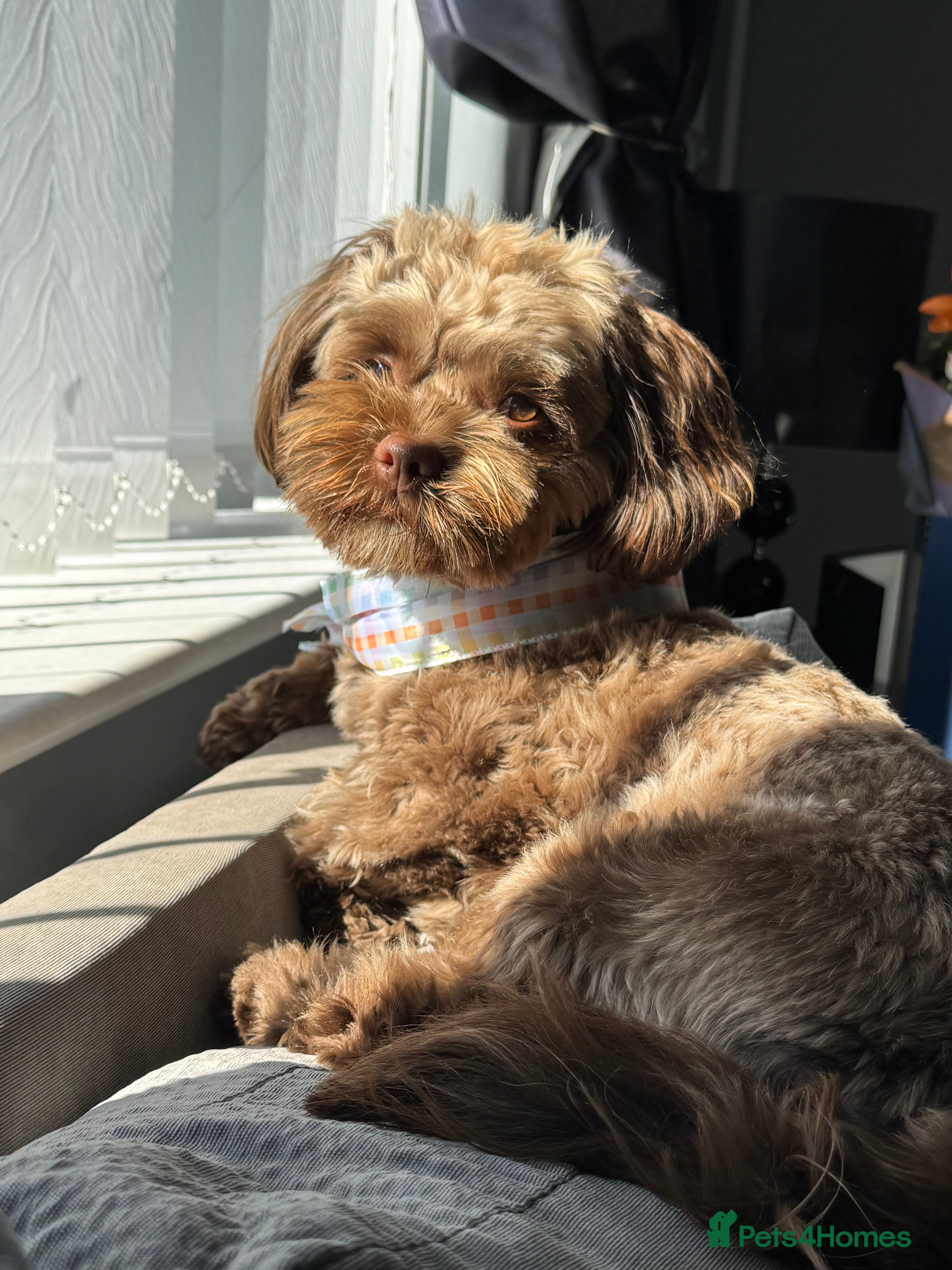 Milo