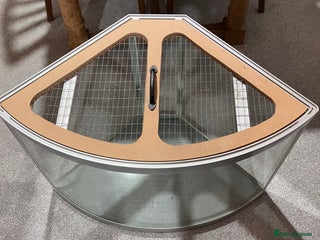 Gerbil rodents Free to good home ! - Advert 1