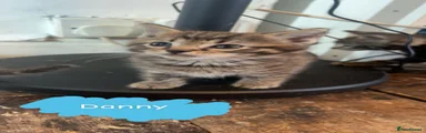 Danny