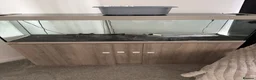 Cichlids fish for sale: Eheim vivaline 240 full set up - Advert 1