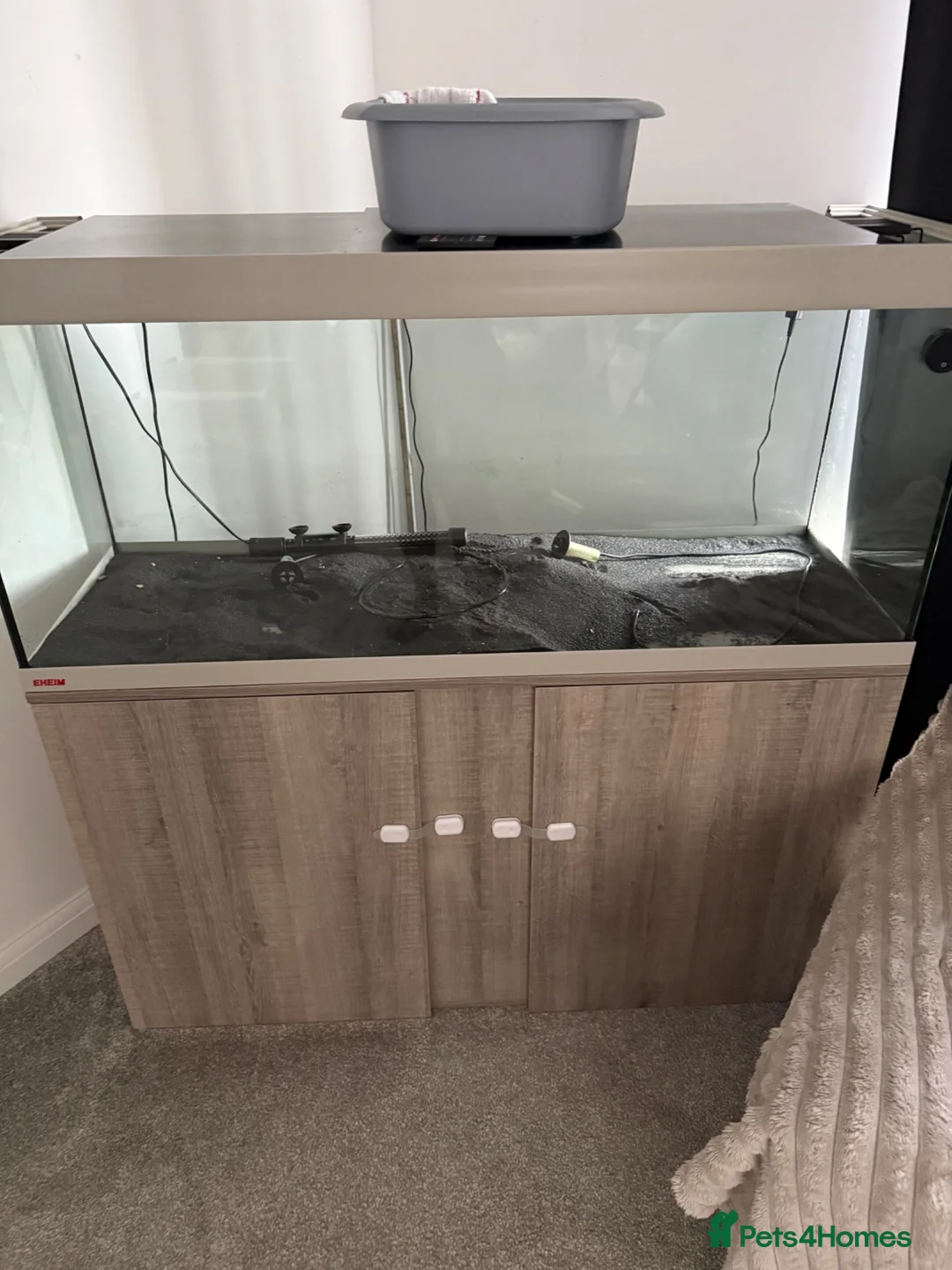 Cichlids fish for sale: Eheim vivaline 240 full set up - Advert 1