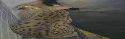Savannah cats for sale: F2 SAVANNAH  - Advert 2