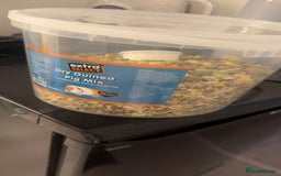 Guinea Pig rodents for sale: 3 Male Guinea Pigs - Image 8