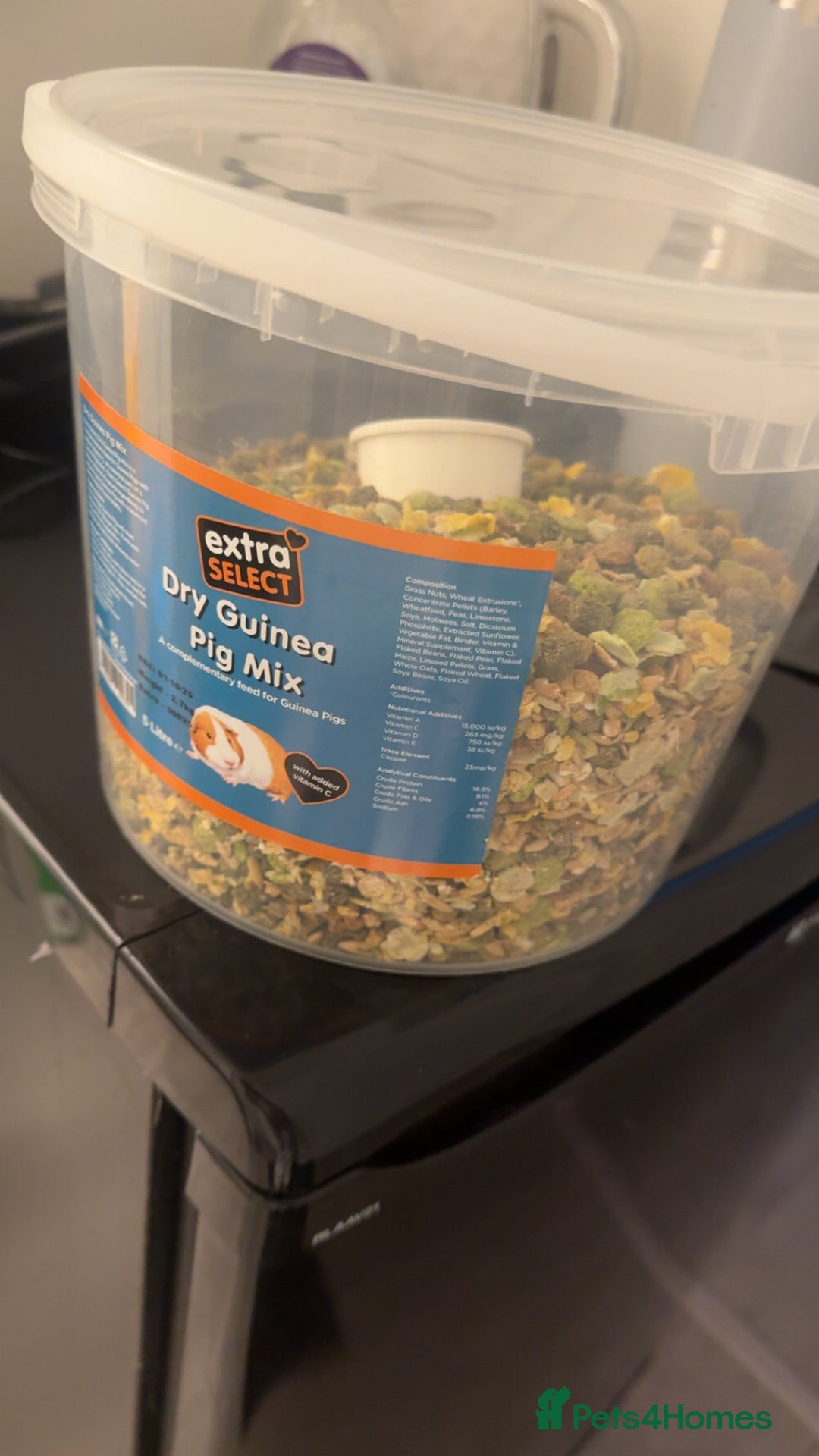 Guinea Pig rodents for sale: 3 Male Guinea Pigs - Image 8