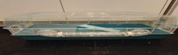 Hamster rodents for sale: Superb new hamster cage  - Advert 3