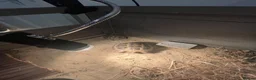 Tortoise reptiles for sale: Two Tortoises for sale in Norwich - Advert 9