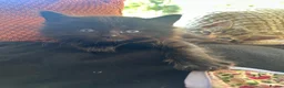 Mixed Breed cats for sale: 2 absolutely gorgeous fluffy boys  - Advert 1