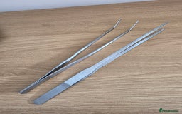 Snake reptiles for sale: Hognose snake  - Advert 13