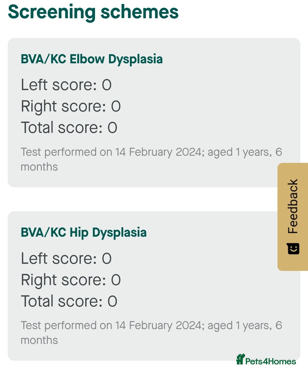 Labrador Retriever dogs for stud: Working labradror gundog for stud - Advert 3