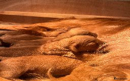 Golden Retriever dogs for sale: Working type golden retriever puppies - Image 3