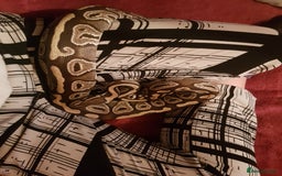Python Snake reptiles for sale: Mojave Ball Python + Enclosure - Image 6