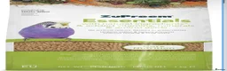 Budgerigars birds for sale: Budgies and cage and all accessories and food  in Southampton - Advert 9