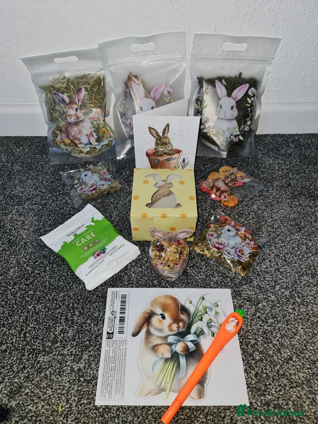 Mini Lop rabbits for sale: 3 mIni PLUSH lops ready 7/03. 2 BLUE EYED! - Advert 14