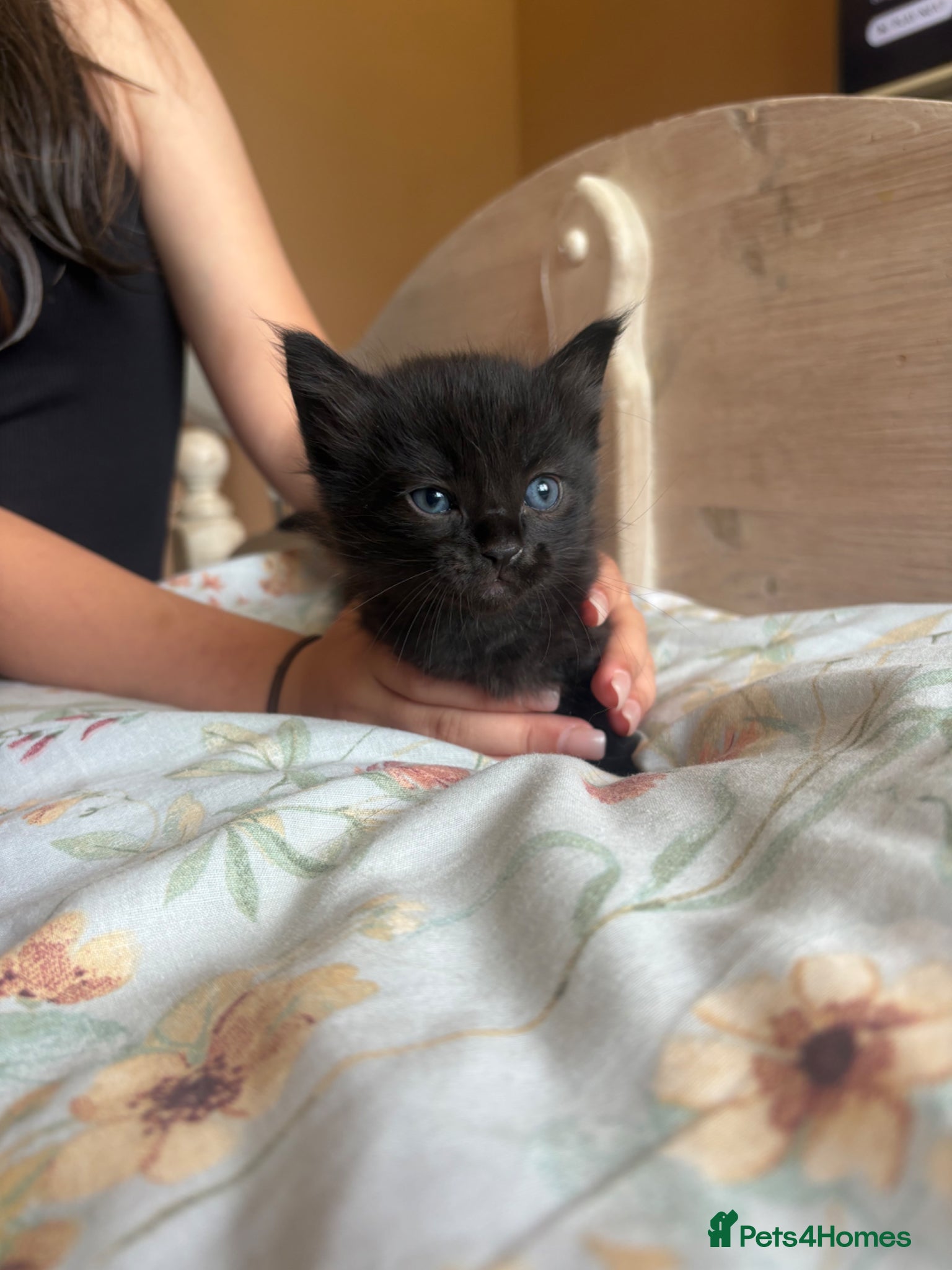 Blacky 