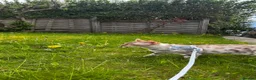 Bengal cats for sale: Stunning Snow Bengal for Sale in Bradford - Advert 7