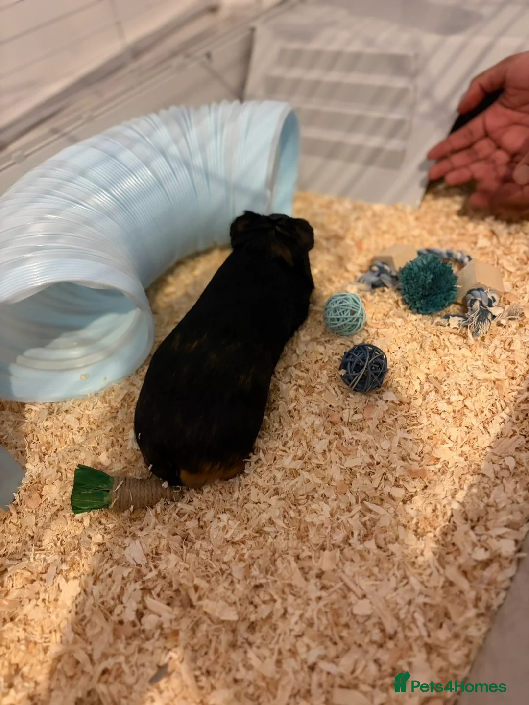 Gallery Image {{count}}