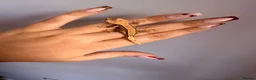 Gecko reptiles for sale: Baby crested gecko’s  - Advert 24