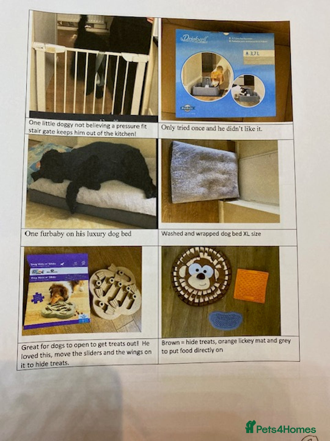 Mixed Breed dogs for sale: All Equipment needed for a dog - Advert 5