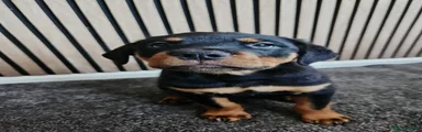 Boy 2 