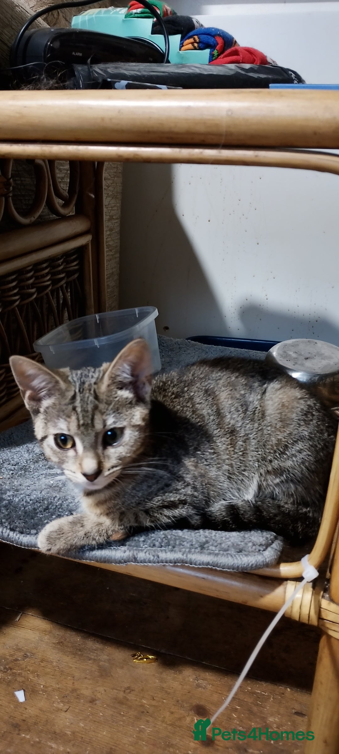 Gallery Image {{count}}