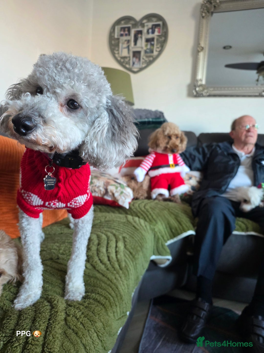 Gallery Image {{count}}