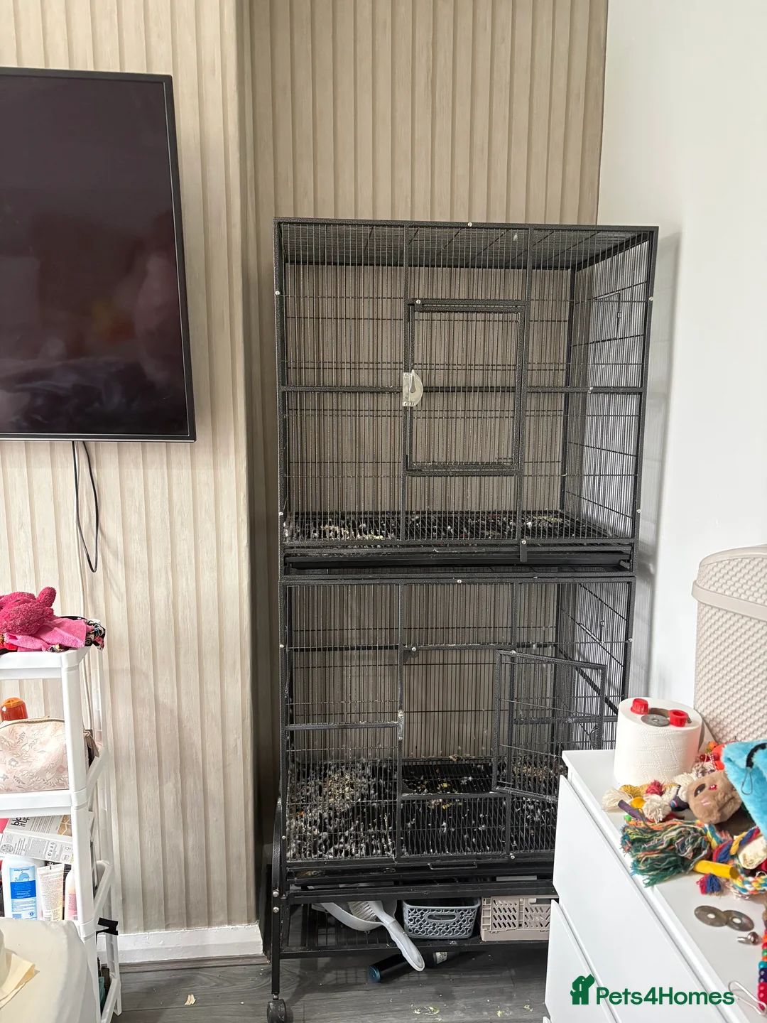 Mixed Breed birds for sale: Double parrot cage  - Advert 1