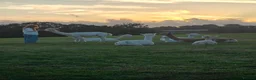 Alpaca livestock for sale: BAS registered breeding female Alpacas  in Totnes - Advert 1