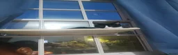 Domestic Shorthair cats for sale: Black & White Cat (no charge) - Male - Advert 5