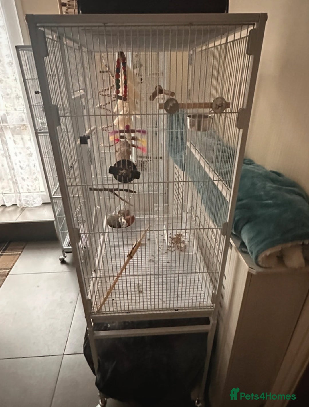 Cockatiels birds for sale: Two yaheetech cages for sale bargain! in Leeds - Image 1