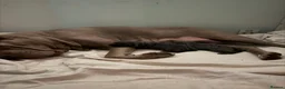 Cane Corso dogs for sale: Cane corso puppies  in Mansfield - Advert 6