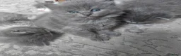 Ragdoll cats for sale: Ragdoll X British long hair blue mix. - Advert 3