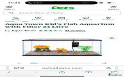 Minnows fish for sale: Fish, fish tank and accessories  - Image 6