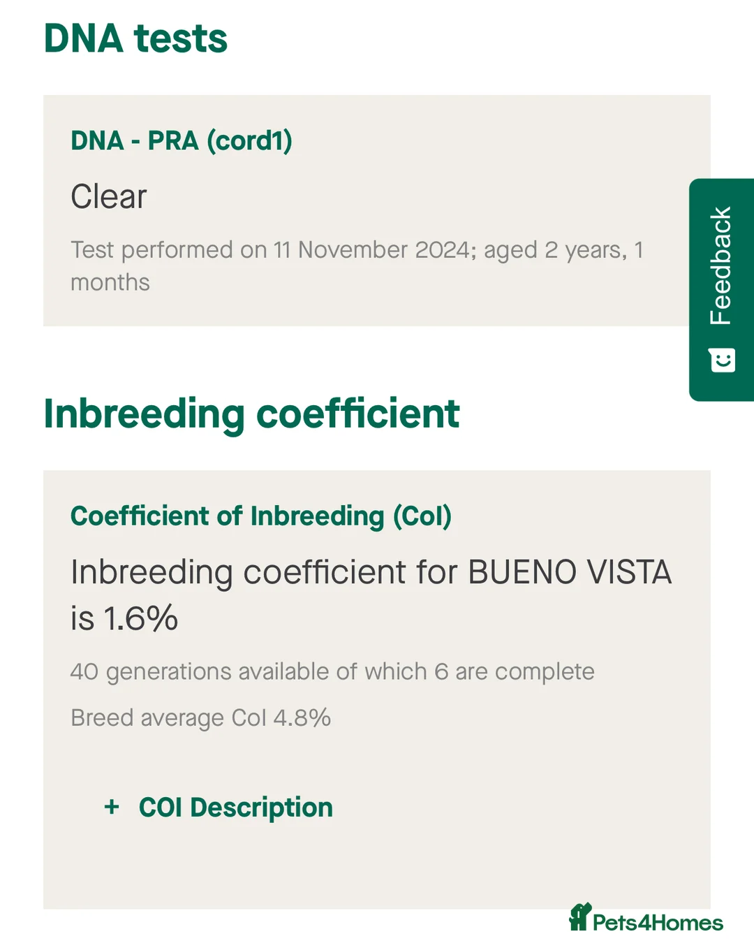 Miniature Dachshund dogs for stud: Isabella & Cream Dapple Miniature Dachshund Stud in Doncaster - Advert 8