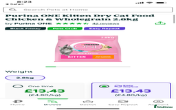 Ragdoll cats for sale: Lovely Ragdoll looking for lovely family - Advert 18