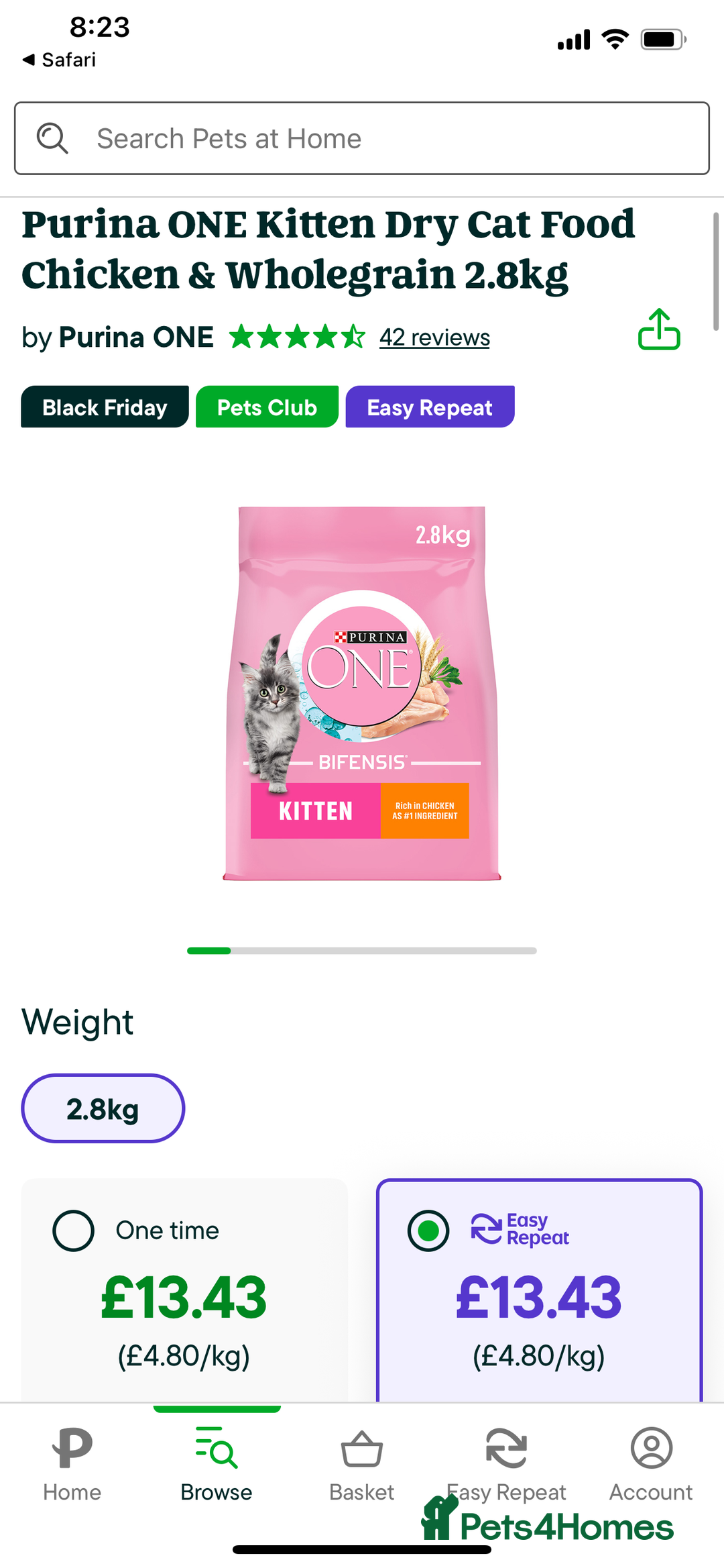 Ragdoll cats for sale: Lovely Ragdoll looking for lovely family - Advert 18