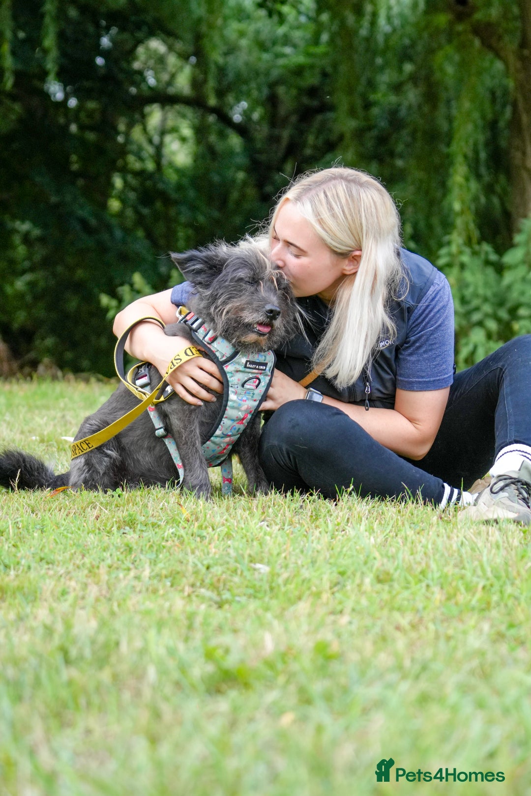 Mixed Breed dogs for adoption: Moflea would love a home in Waltham Abbey - Image 3