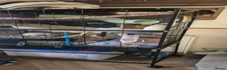 Rat rodents for sale: 2 female rats in Warminster - Advert 1