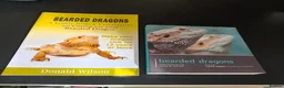 Bearded Dragon reptiles for sale: Bearded dragon+ set up in Saint Helens - Advert 3