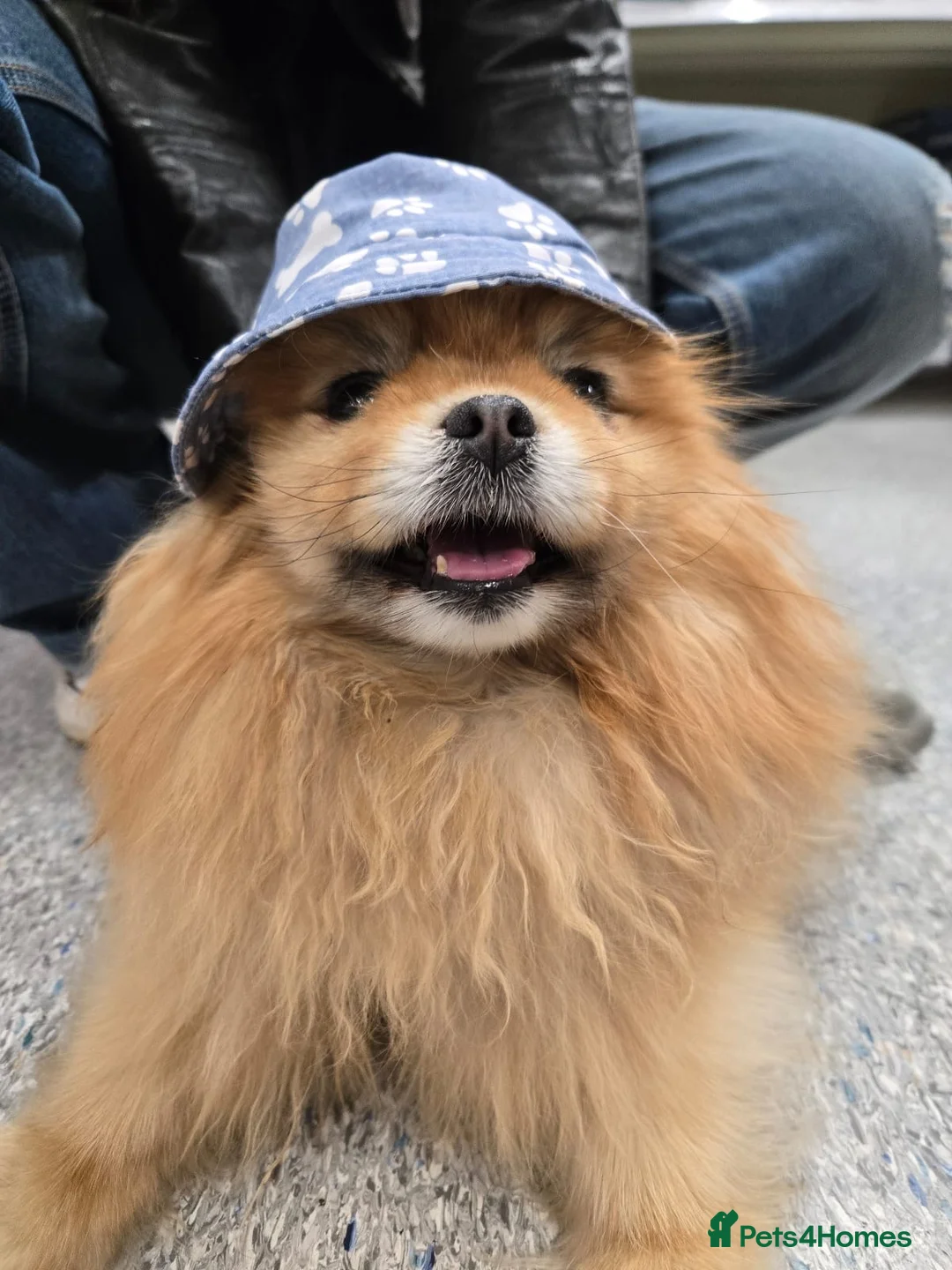 Gallery Image {{count}}