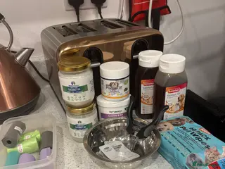 Miniature Dachshund dogs Long haired mini dachshund looking for forever hom - Advert 1