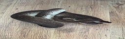 Python Snake reptiles for sale: Royal Pythons Various Prices  - Advert 2