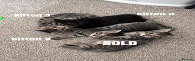 Sold