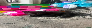 jet