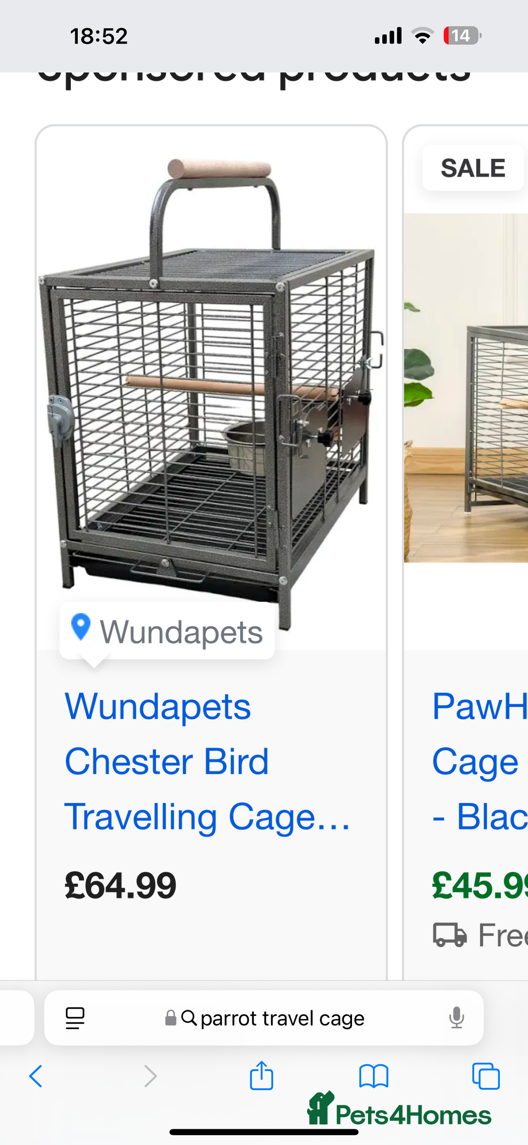 Parrots birds for sale: African Grey - Advert 4