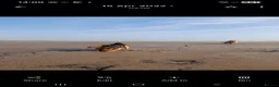 Jack Russell dogs for stud: Jack Russell for stud in Hull - Advert 16
